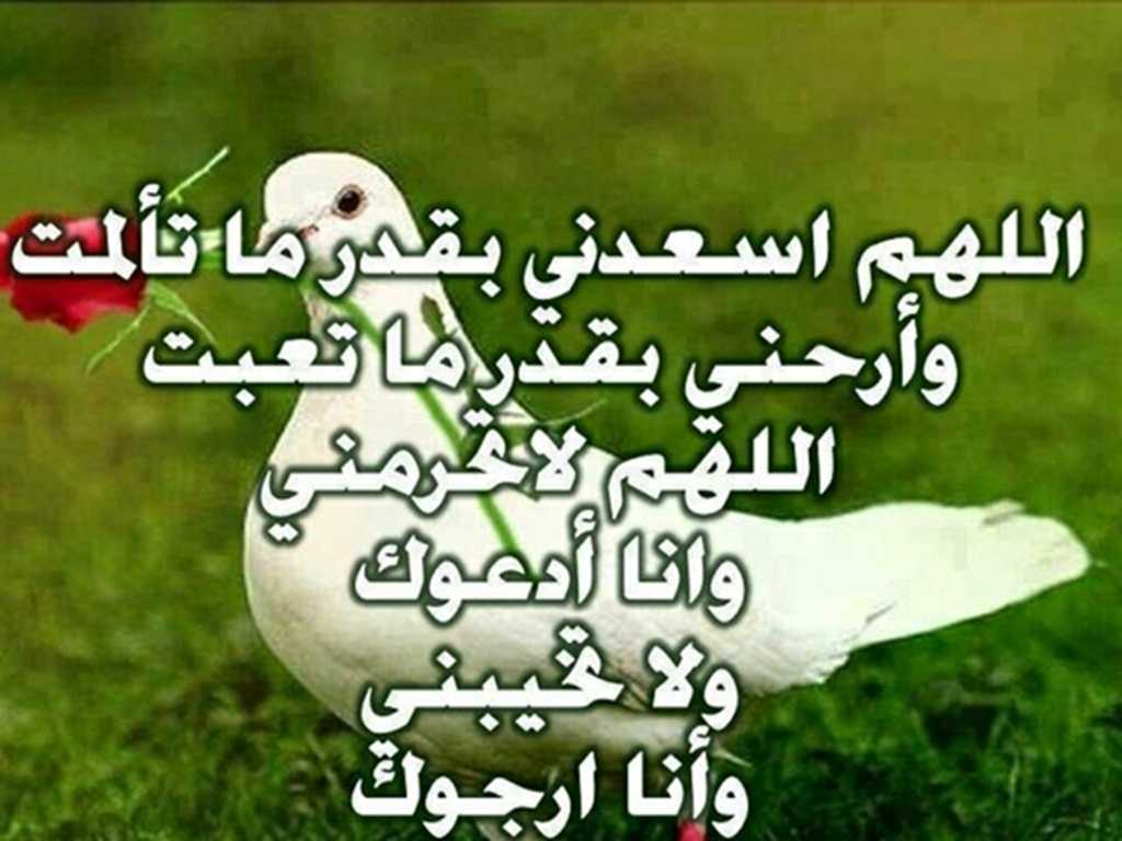 ادعية اسلامية رائعة - قمة الخشوع امام الله 5645 18