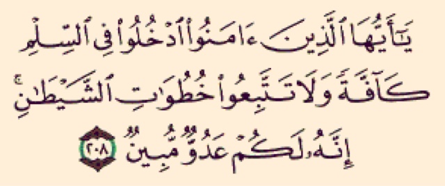 ولا تتبعوا خطوات الشيطان - اتقى الله فى حياتك و ابعد عن المعاصى 6411 13