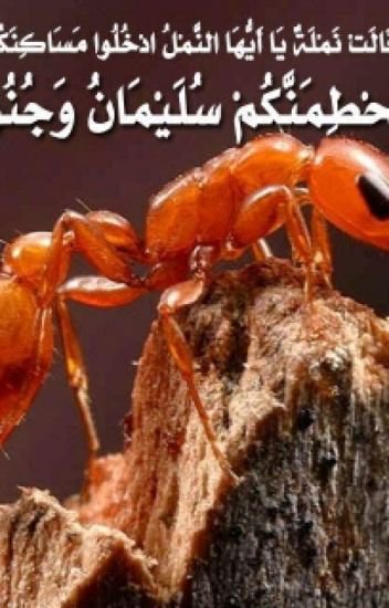 حقائق علمية في القران بالصور - يا ترى لسه عندك شك ان ربنا اللى انزله 6100 5