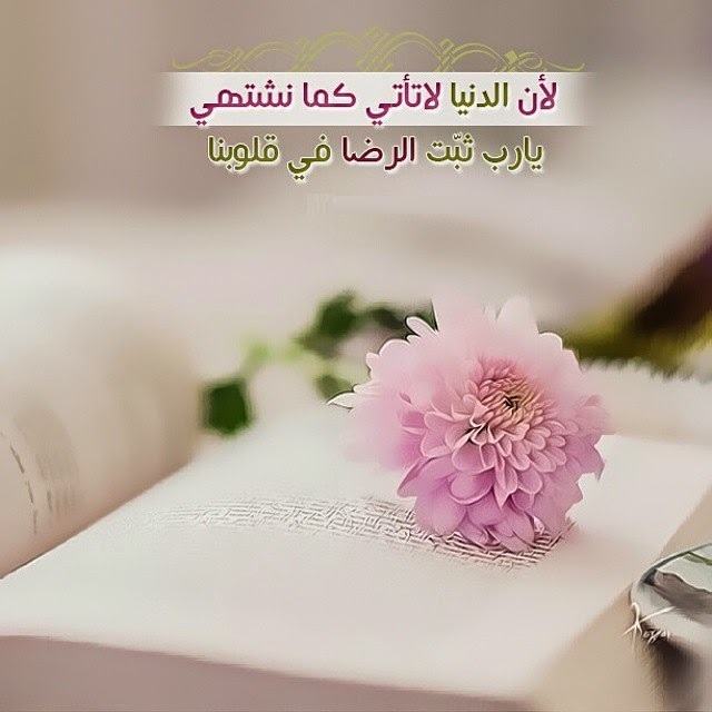 مواعظ دينية , حكم و اقوال اسلاميه