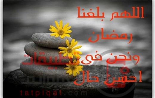 بوستات دينية لرمضان - شهر الصوم افضل شهور السنة 7563 7