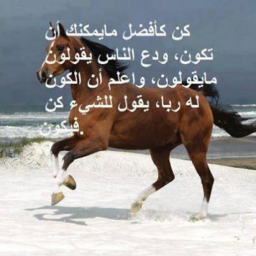 صور حلوه دينيه , اظن مفيش اجمل من كده