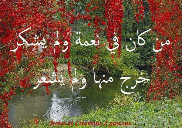 احاديث وصور اسلامية 20151130546