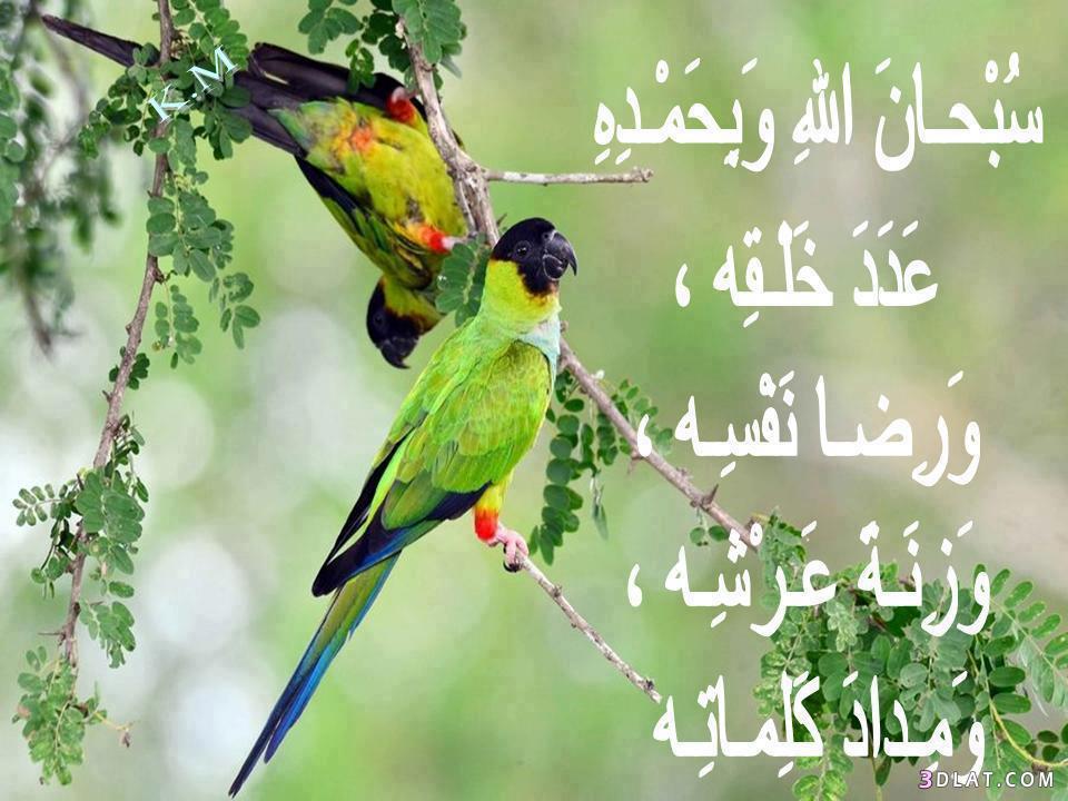 صور طبيعيه دينيه - مجموعة جميلة مميزة ما ارقى اصور 5842 8