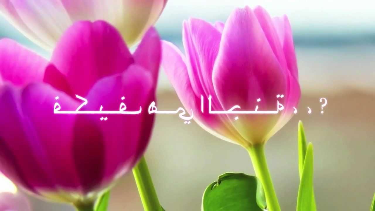 صور تاسر الالباب فكيف هي الجنه - ما شاء الله ايه الجمال ده