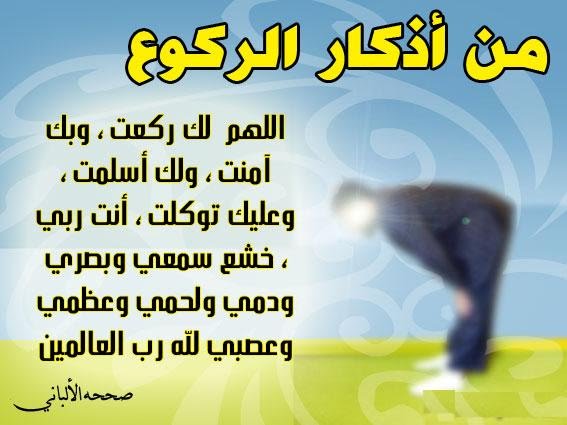 الاسلام ويب , اقسامه وفروعه وصوره