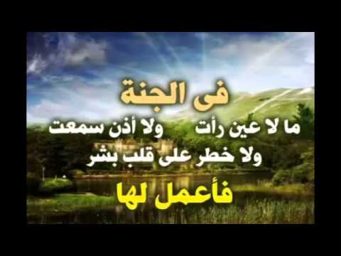 6254 8 شيلات دينيه - قصائد اسلاميه رقيقه فاطمة سعد